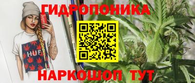 стафф Шелехов