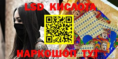 стафф Шелехов