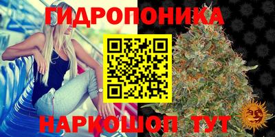 ECSTASY Шебекино
