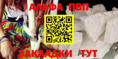 стафф Шелехов