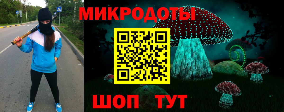 Бердск  Галлюциногенные грибы мицелий  Вход с VPN 